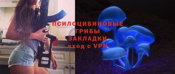 a pvp Аркадак
