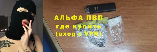 a pvp Аркадак