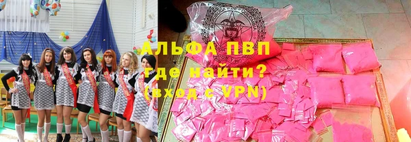 a pvp Аркадак