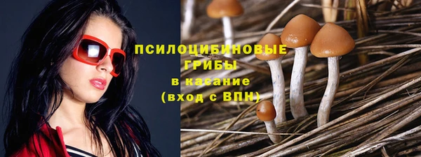 a pvp Аркадак