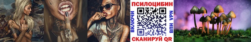 Псилоцибиновые грибы мицелий  магазин  наркотиков  Иннополис 